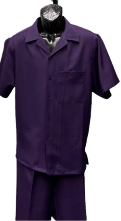 Dreams By Zacchi Men's Wide Leg 2 Piece Walking Suit - Solid Colors -Empire Shop alfie purple full
