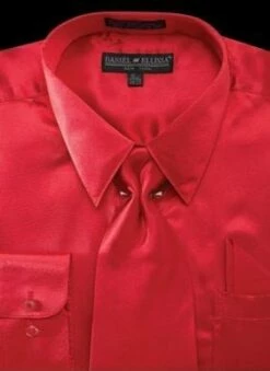 Daniel Ellissa Men's Basic Outlet Dress Shirt Set - Versatile Satin -Empire Shop ds3012np2 red 16 1 17