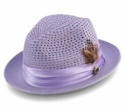 Montique Men's Fashion Straw Fedora Hat - Bold Feather -Empire Shop h 34 lavender lr