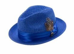 Montique Men's Fashion Straw Fedora Hat - Bold Feather -Empire Shop h34 royal 041