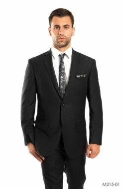 Tazio Men's 2pc Slim Fit Executive Suit - Thin Pinstripe