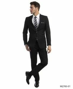 Tazio Men's 2 Piece Slim Fit Suit - Classic Solid Colors