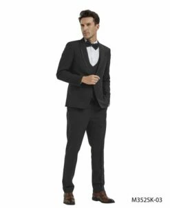 Tazio Men's 4 Piece Skinny Fit Suit - Birdseye Pattern -Empire Shop m352sk 03 01 53241.1634084898