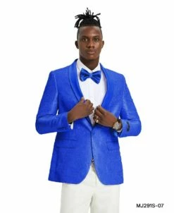 Tazio Men's Classic Fashion Sport Coat - Textured Paisley -Empire Shop mj291s 07 2