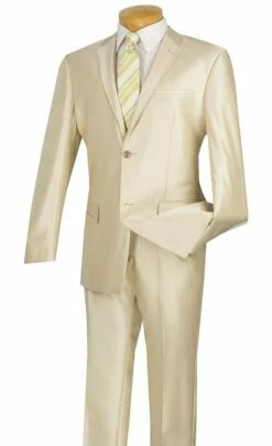 Vinci Men's 2 Piece Slim Fit Suit - Ultra Smooth Sharkskin 10 Vinci Men's 2 Piece Slim Fit Suit - Ultra Smooth Sharkskin -Empire Shop s2rr 4 champagne beige