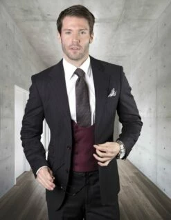 Statement Men's 100% Wool 3 Piece Suit - Deep U Vest